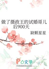 做了摄政王的试婚哥儿后900天封面